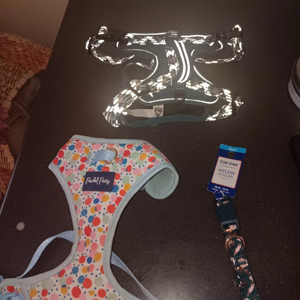 Harnesses - Picture 5 of 16
